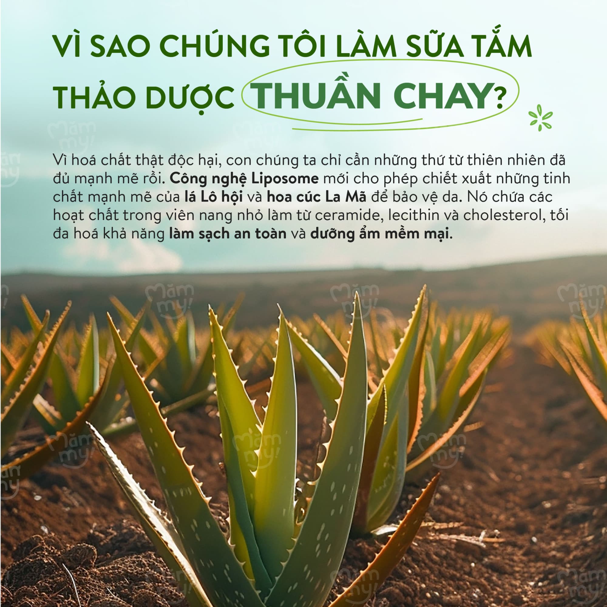 [DATE 2027] Sữa tắm thảo dược chai 200ml - Mua 1 tặng 1 8