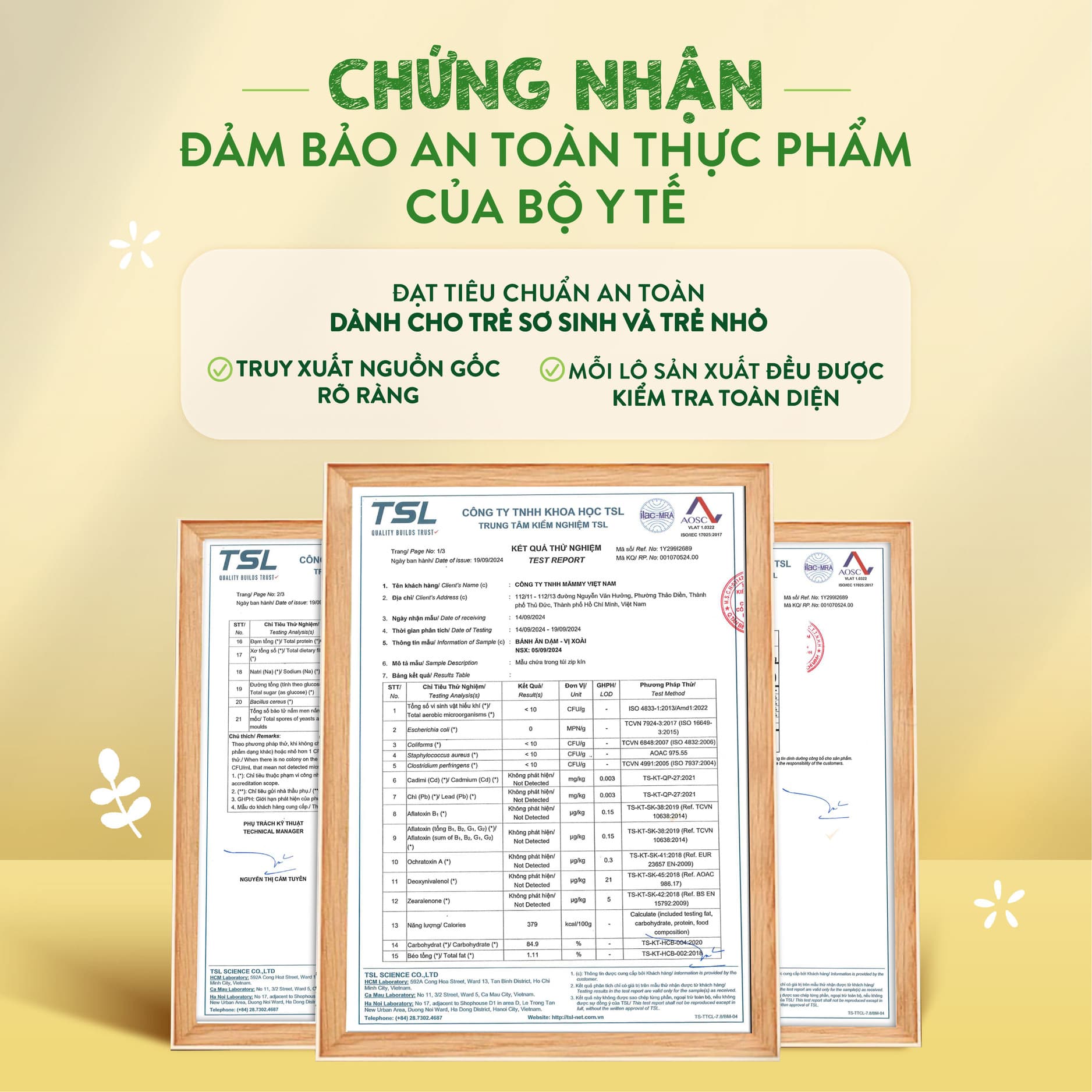 Bánh ăn dặm vị xoài - Túi 35g 10