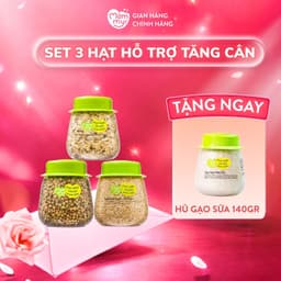 Set 3 hạt yến mạch, diêm mạch, kiều mạch - Hỗ trợ tăng cân