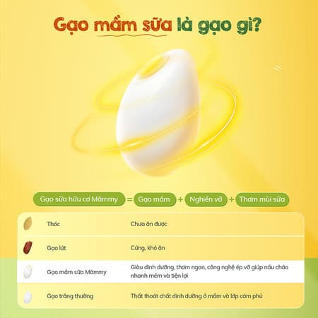 Combo 3 gạo sữa hữu cơ - Hũ 140g [Mua 3 tặng 3] 2