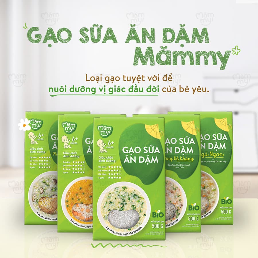 Combo 2 gạo sữa ăn dặm hộp 500g [Mua 2 tặng Dầu chiên xào DHA 250ML] 11