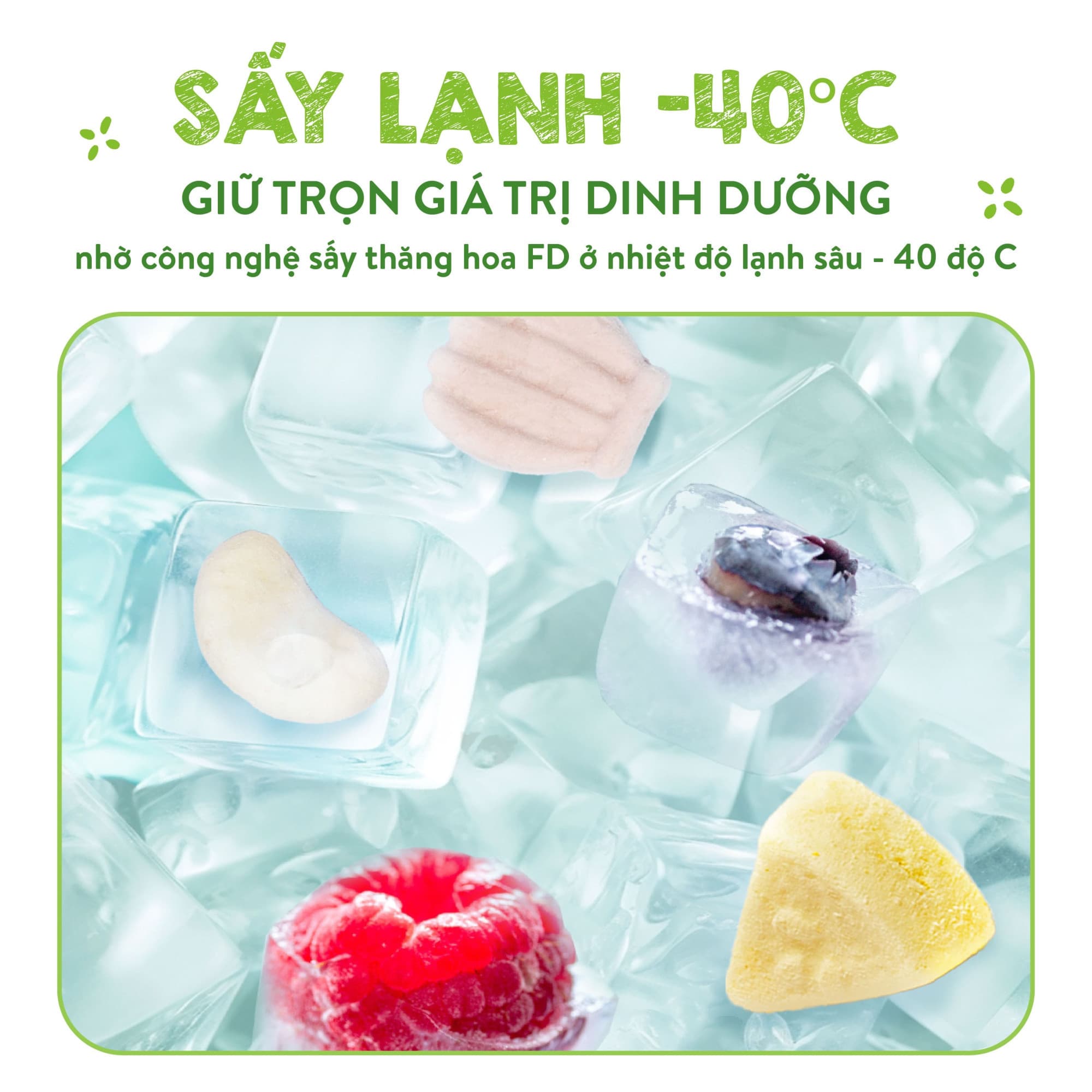 Combo 3 sữa tươi sấy - Hộp 14g [Mua 3 tặng 2] 20