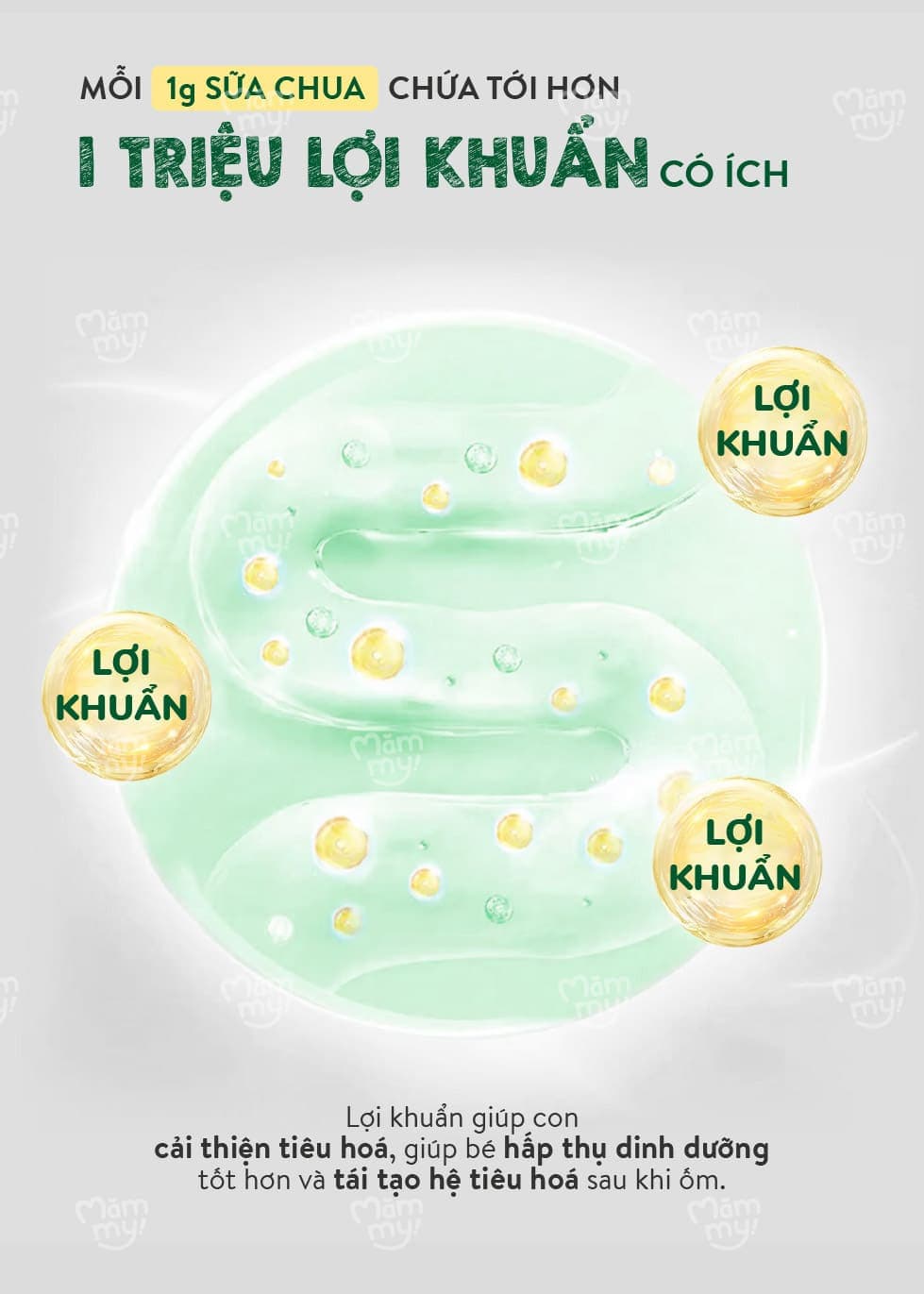 Sữa chua sấy Vị Chuối - Túi 20g 15