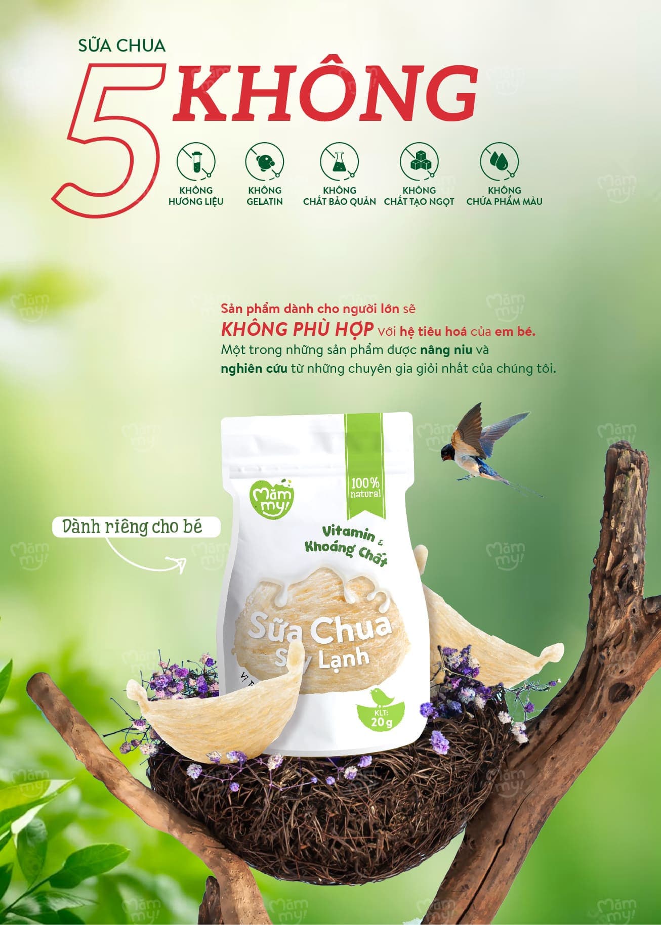 Sữa chua sấy Vị Chuối - Túi 20g 14