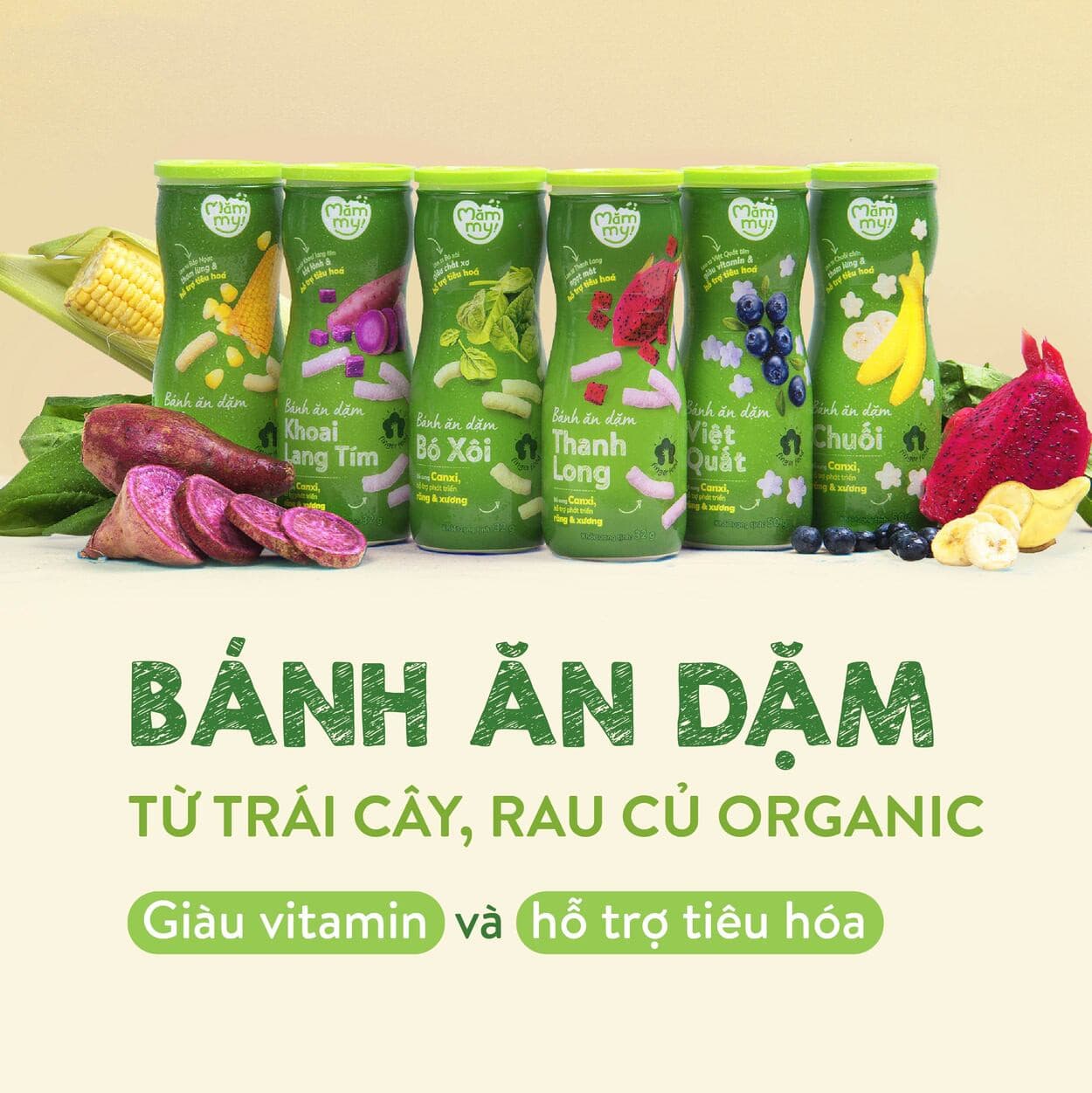 Bánh ăn dặm vị Việt Quất - Hũ 50 g 6