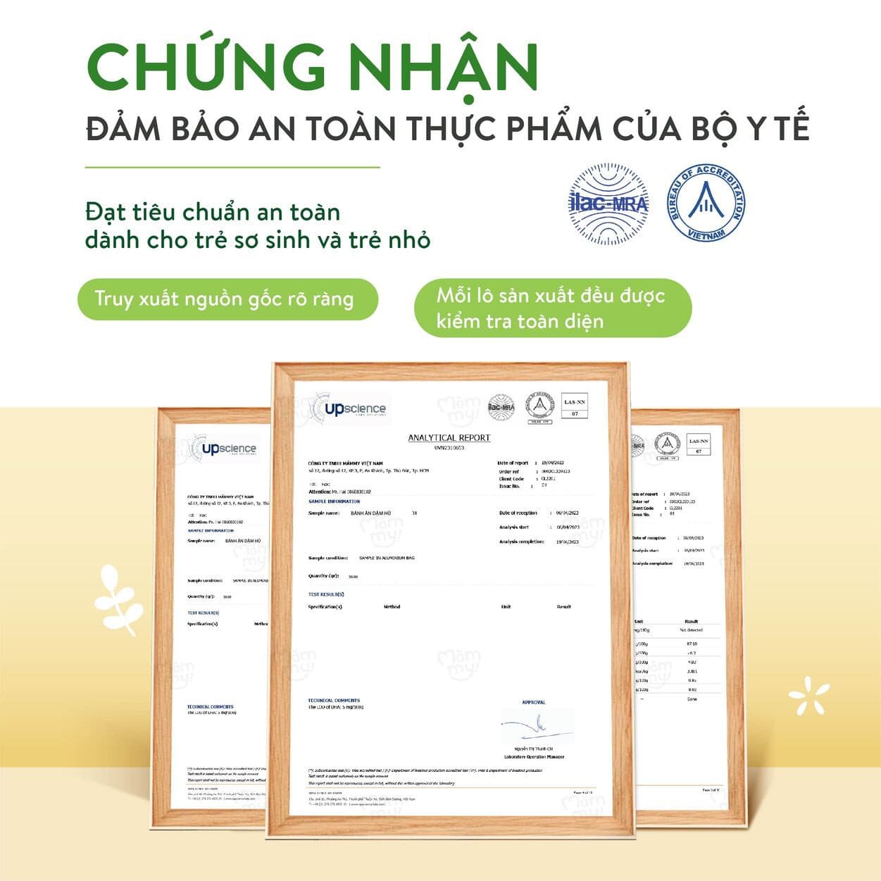 Bánh ăn dặm vị Việt Quất - Hũ 50 g 5