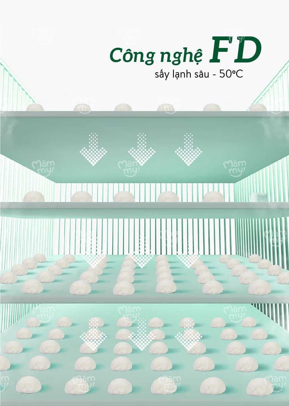 Sữa chua sấy Vị Chuối - Túi 20g 9