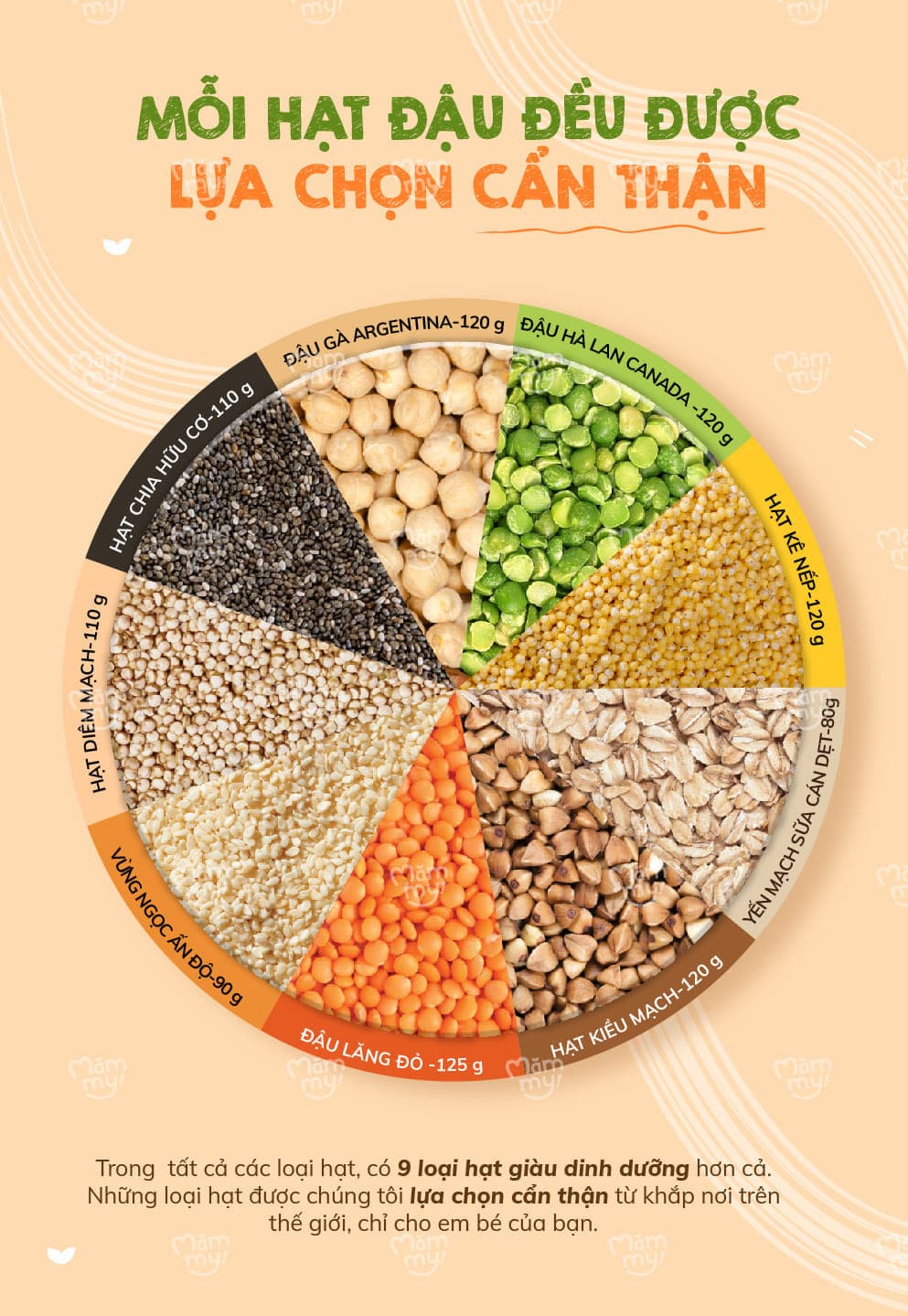 Set 3 hạt yến mạch, diêm mạch, kiều mạch - Hỗ trợ tăng cân 7