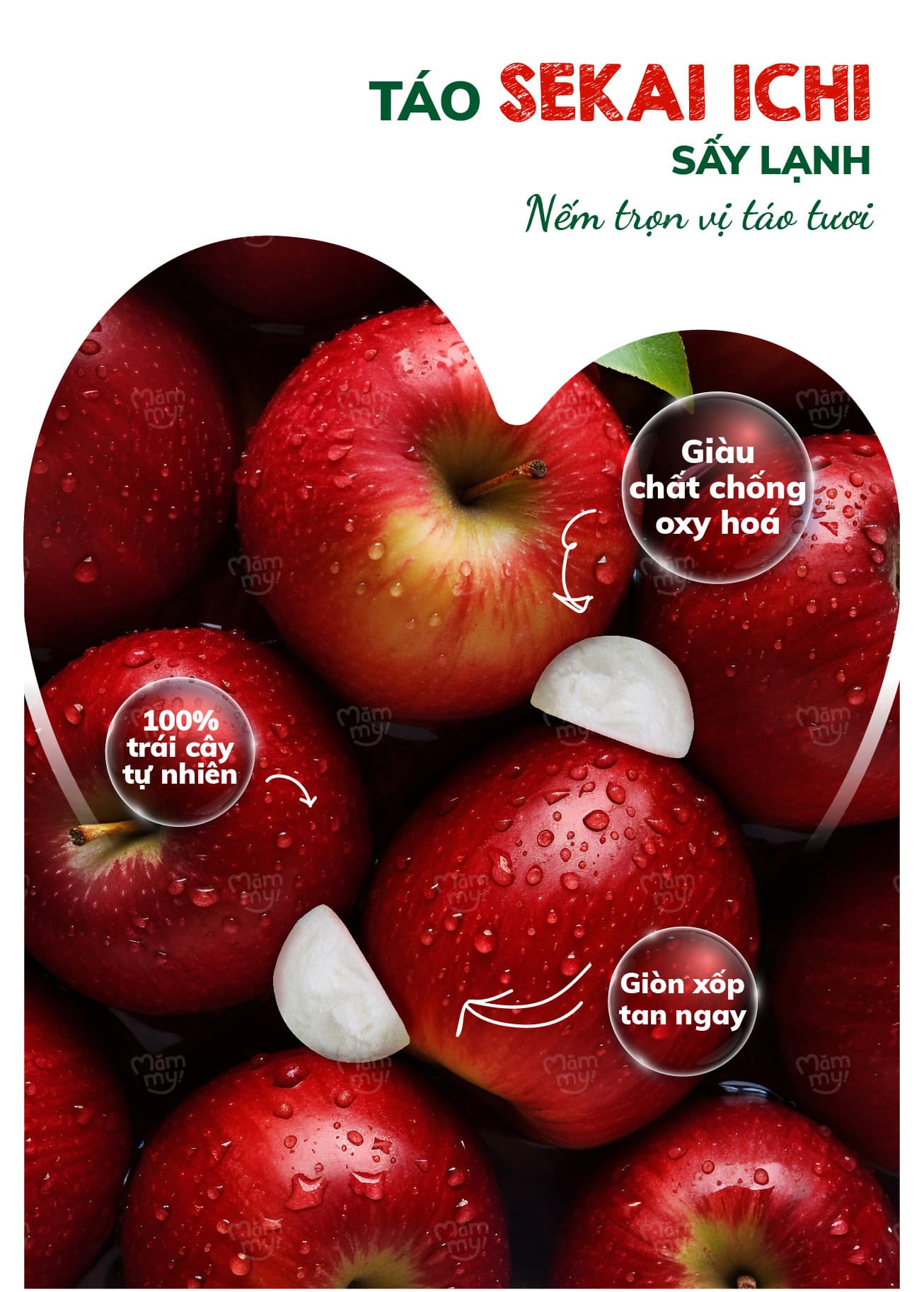 Sữa chua sấy Vị Táo Sekai Ichi - Túi 20g 29