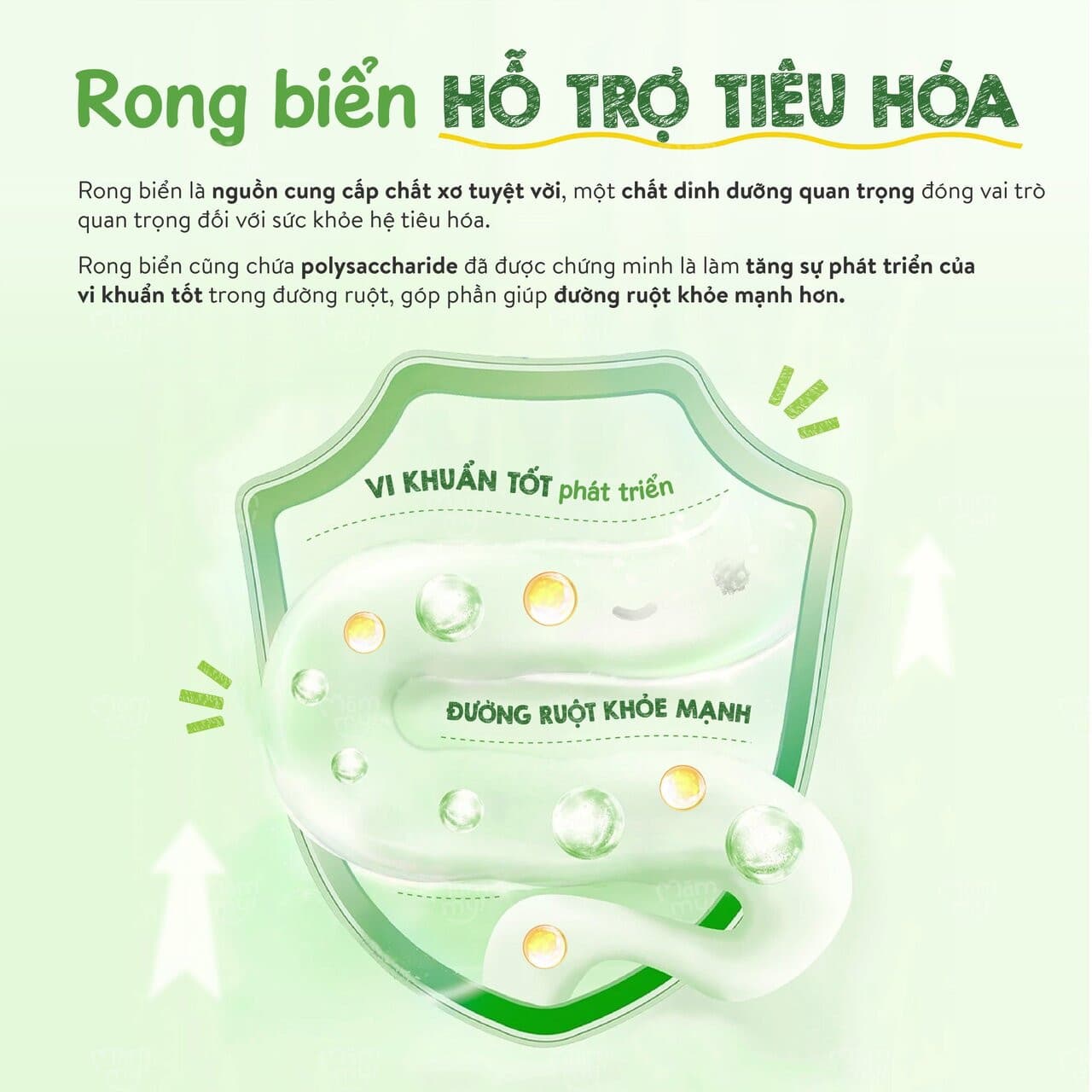 Rong biển giòn ăn dặm rắc cơm - Túi 40g 3
