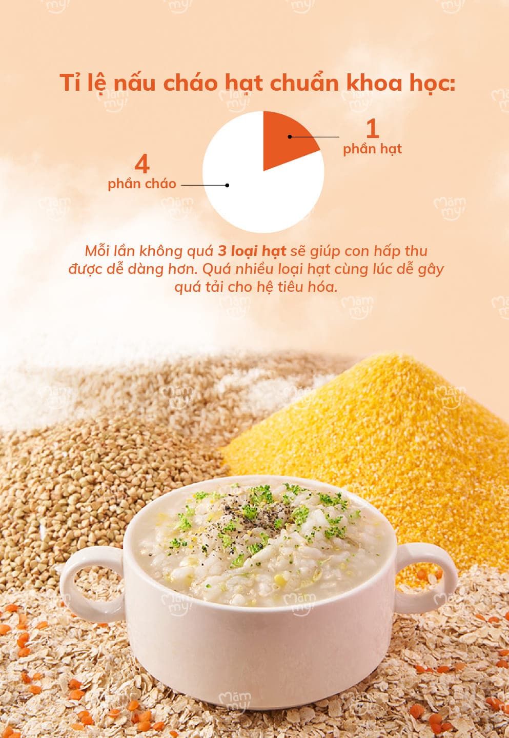 Set 3 hạt yến mạch, diêm mạch, kiều mạch - Hỗ trợ tăng cân 6