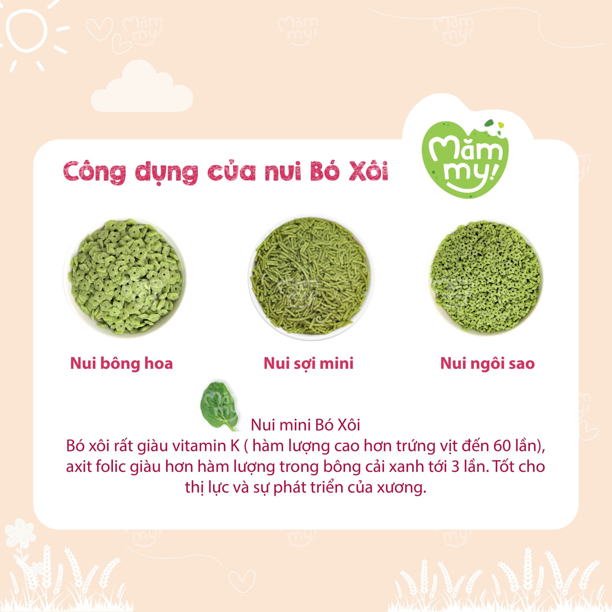 Combo 3 nui mini tập nhai - Tặng bình nước cho bé 11