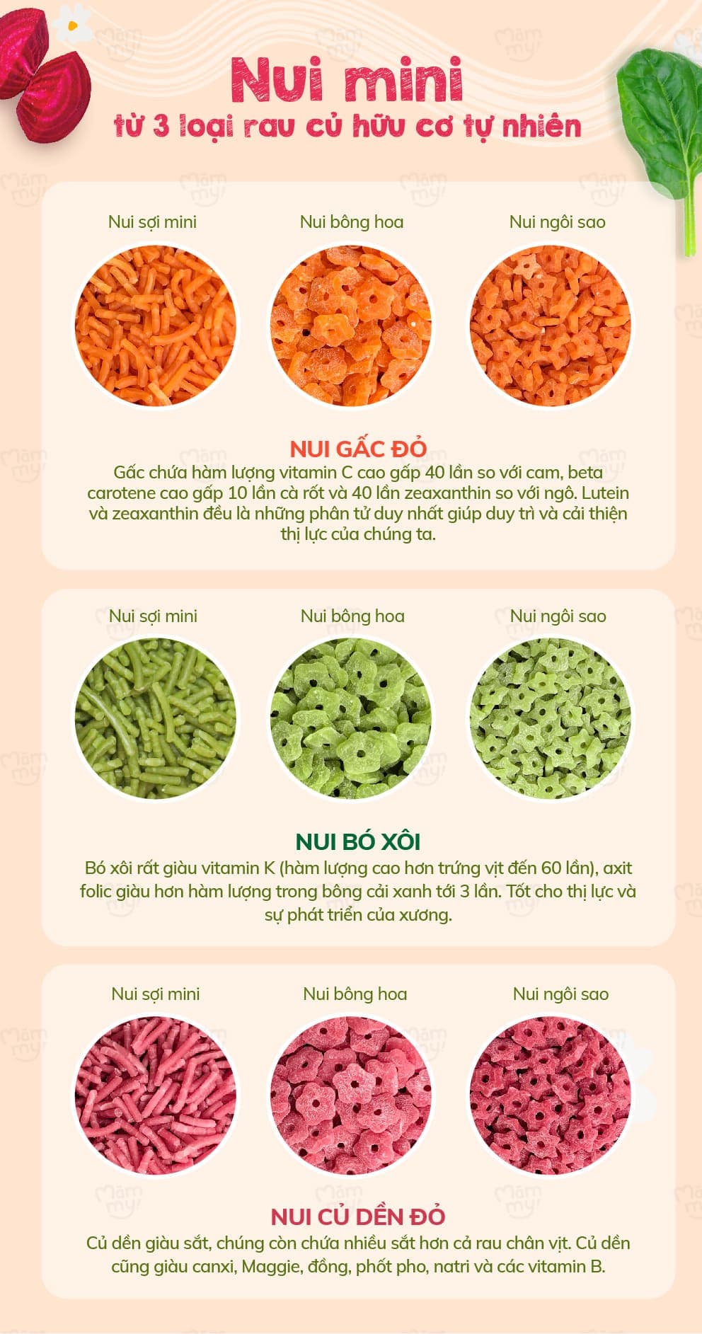 Combo 3 nui mini tập nhai - Tặng bình nước cho bé 8